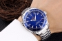 Replica Omega Seamaster Professional Blue Face (300204CH)