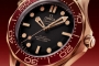 Replica Omega Seamaster Diver 300m (300217CH)