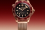 Replica Omega Seamaster Diver 300m (300217CH)