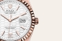 Replica Rolex Oyster Land-Dweller (100605CH) 